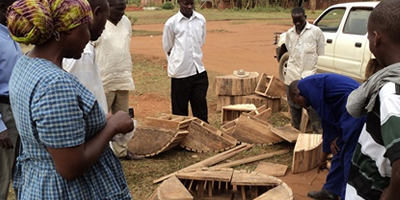 Leadership, Policy, Governance and Rights